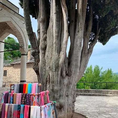 Hébergement de vacances Amra Pocitelj